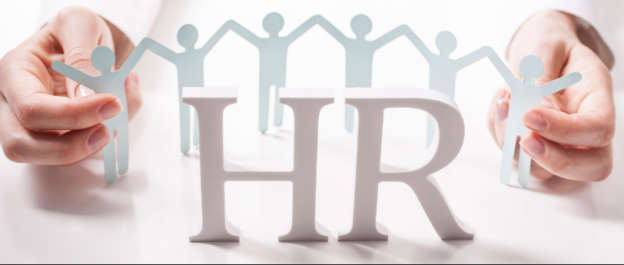 Should You Become A Human Resource Consultant?
