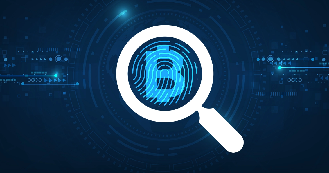 Use True Trading Bots to Avoid a Cryptocurrency Fraud